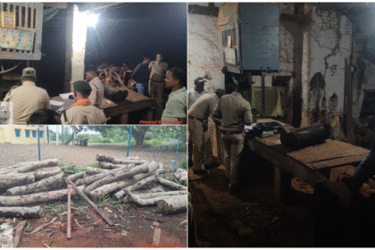 वन विभाग की बड़ी कार्रवाई: सिलहाटी में अवैध काष्ठ जप्त